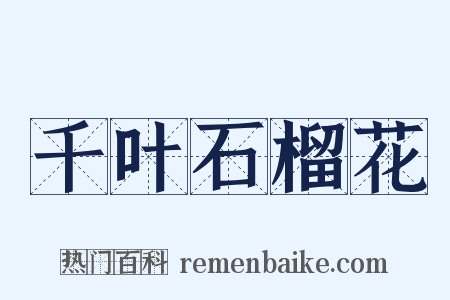 千叶石榴花是什么意思的图片